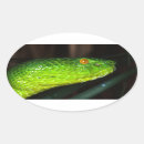 Search for vipers stickers Reptile