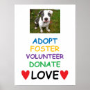 Search for foster art Dog