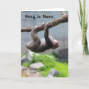 Search for hanging monkey Swinging