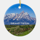 Search for fencing christmas tree decorations Landscape