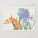 Search for freesias postcards Floral
