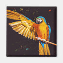 Search for macaws magnets Animal