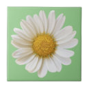 Search for daisy tiles Daisies