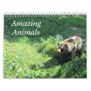 Search for wild animals calendars Wildlife