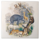 Search for kids tiles Nature