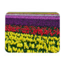 Search for spring tulips magnets Flower