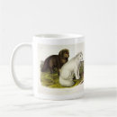 Search for snow fox mugs Illustration