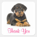 Search for rottweiler stickers Puppies