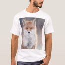 Search for cute red fox clothing Forest