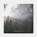 Search for fog magnets Nature