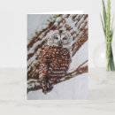 Search for owl blank cards Winter