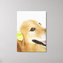 Search for headphones canvas prints Dog