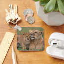 Search for mara key rings Animals in the wild