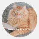 Search for orange tabby cat stickers Kitty