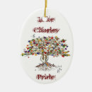 Search for trans christmas tree decorations Gay