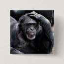 Search for chimpanzee badges Funny