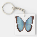 Search for morpho key rings Nature