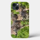 Search for minnesota ipad cases Minnesota wildlife connection
