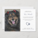 Search for pet memorial invitations Funeral