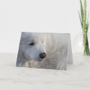 Search for samoyed cards Eskie