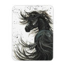 Search for mustang magnets Paint