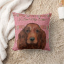Search for irish setter Birthday