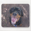Search for big smile mouse mats Dog