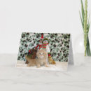 Search for cat rescue christmas cards Kitten