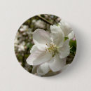 Search for white bloom badges Blossom