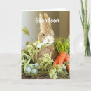 Search for for grandson easter cards Bunny
