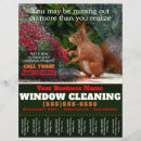 Search for windows flyers House cleaning
