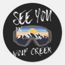 Search for usa ski stickers Winter sports