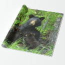 Search for twins wrapping paper Modern