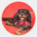 Search for ckcs stickers Dog