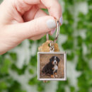 Search for bernese mountain dogs key rings Animal