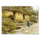 Search for cottage garden art England