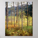 Search for backcountry posters Aspen