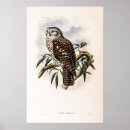 Search for biologic art Vintage