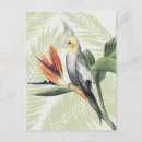 Search for foilage postcards Bird