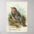 Search for antique bird nest posters Robin