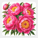 Search for pink peony stickers Green