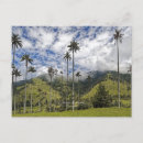 Search for colombia postcards South america