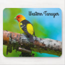 Search for western mouse mats Nature