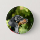 Search for black haired badges Headshot