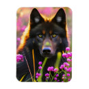 Search for wild wolves magnets Nature