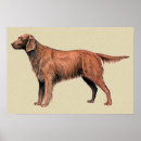 Search for setter painting posters Sporting