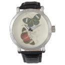Search for butterfly watches Nature