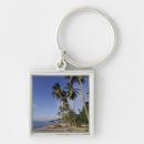 Search for tree life key rings Sea