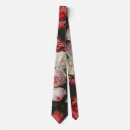 Search for carnations ties Flowers