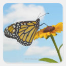 Search for purity stickers Nature
